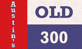 OLD 300 FLAG